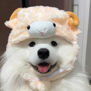 难抵月灼灼`