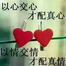 阿白Cmcr