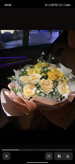 燕燕《承蒙厚爱》的图片