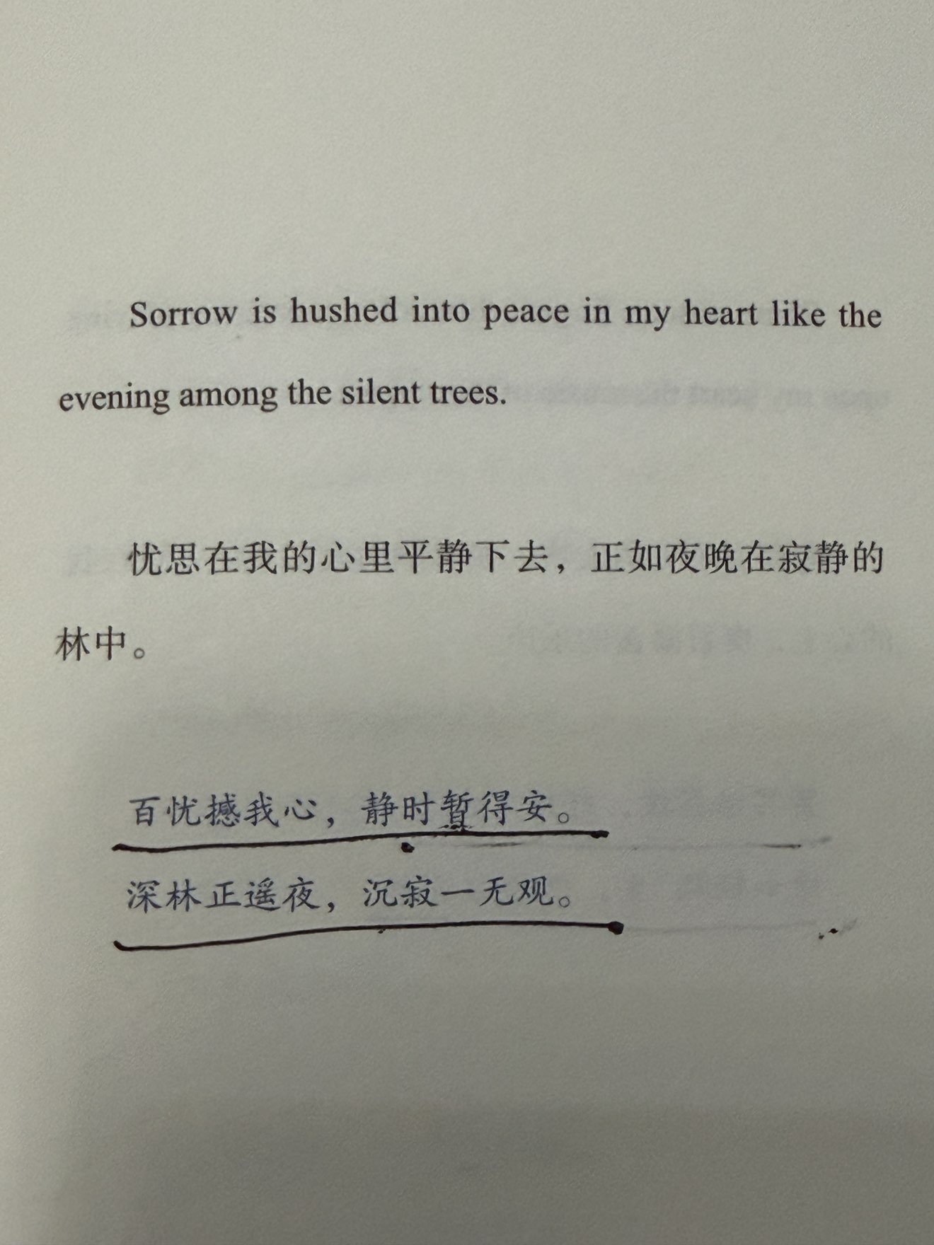 ✨豆包✨不连麦的主播照片