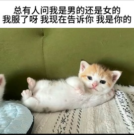 薇恩恩🍬的图片