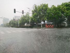 龙蛋格格🎵哆咪呦的图片