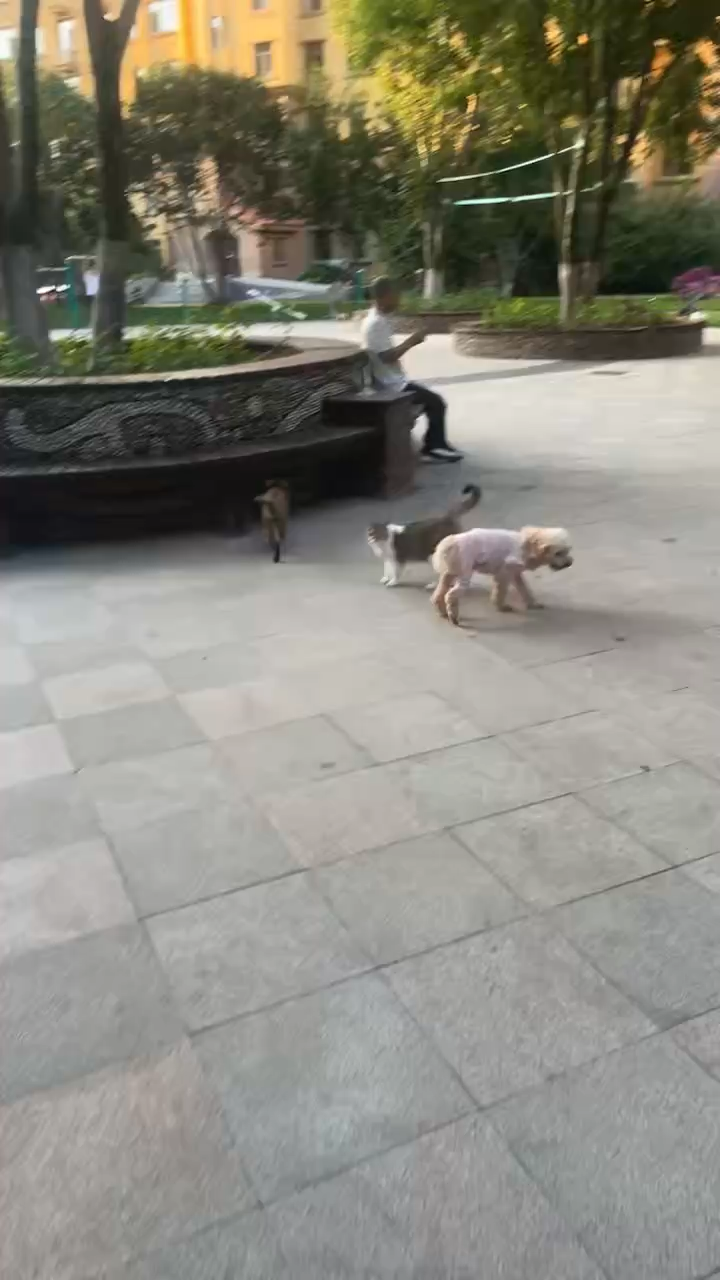 看着真气人、现在是啥