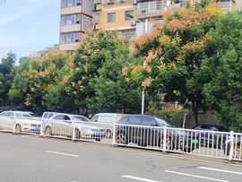 🎶琴儿🎶晚上直播主播照片