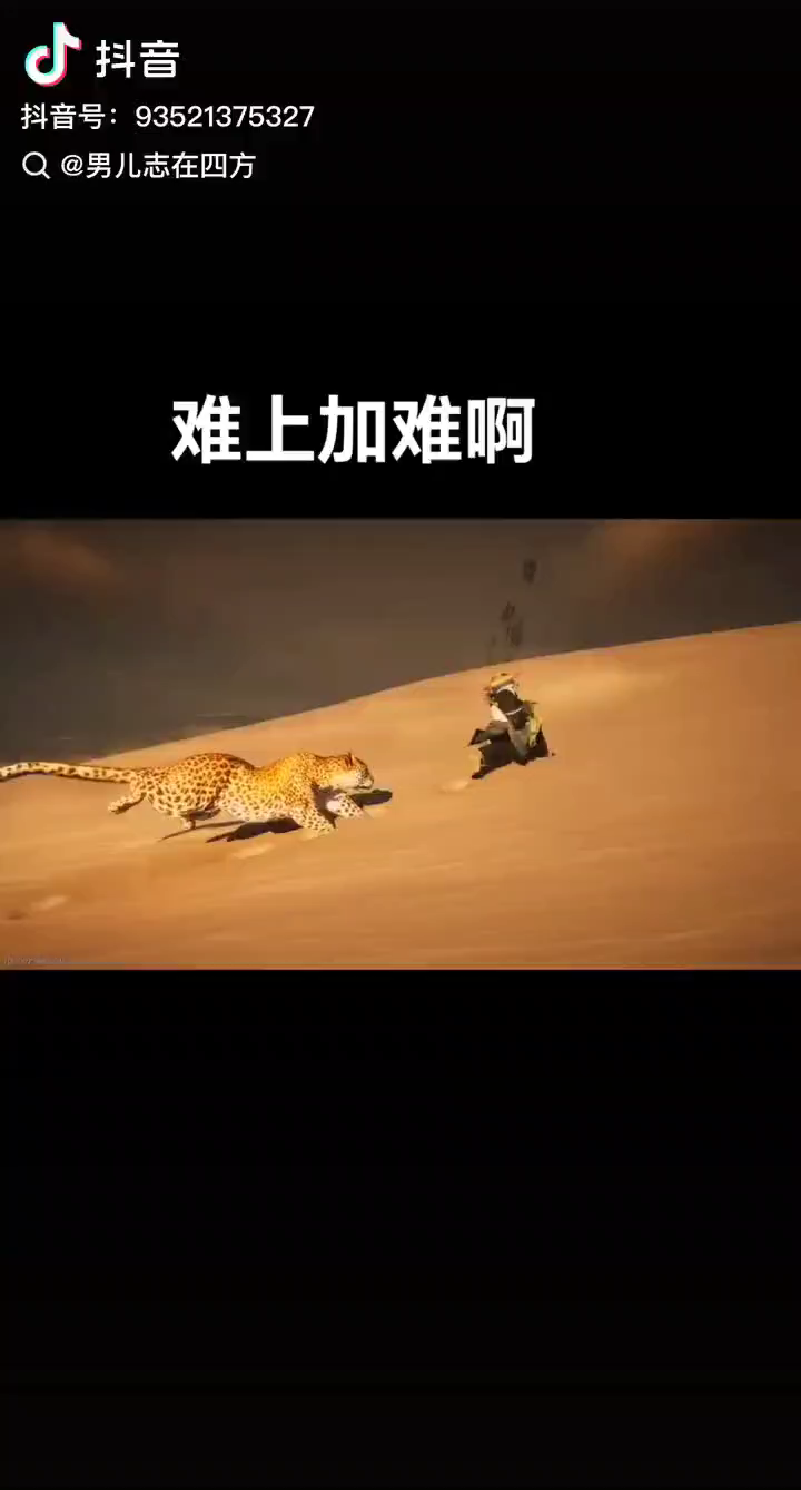 日入千万金的国产动画