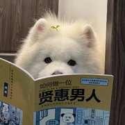 、上网为了嘎你头像
