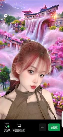 猫咪很乖哟的图片