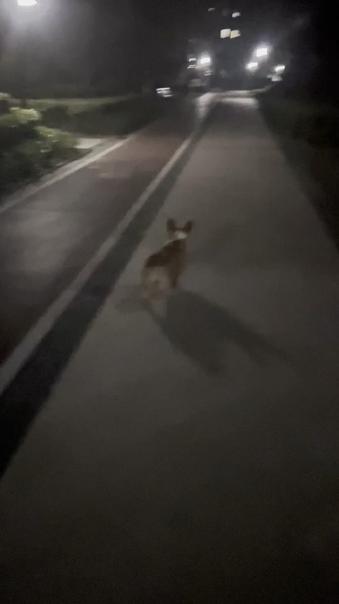 谁家好人半夜不睡觉出