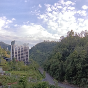 山上养蜂……海报
