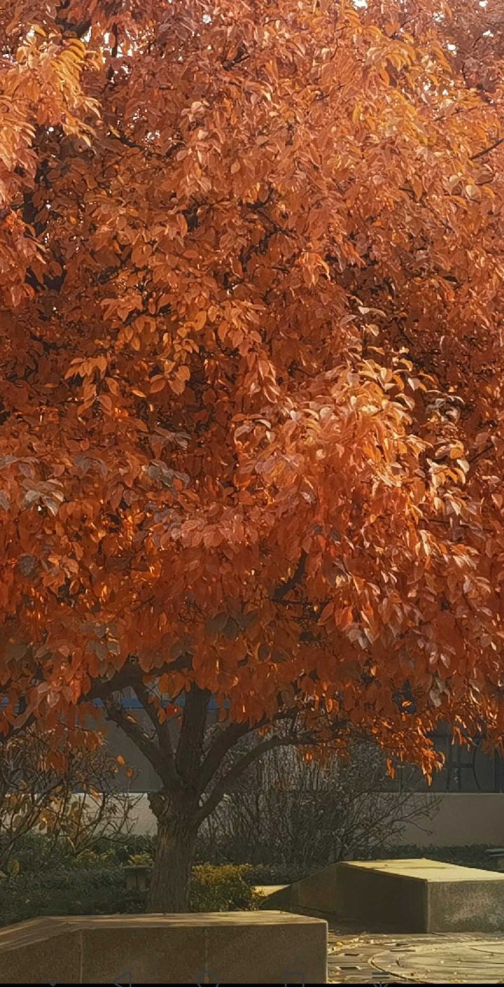 天王盖地虎虎044主播图片