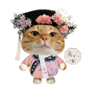 新人笙笙