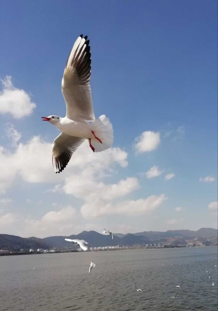 天王盖地虎虎044的主播照片
