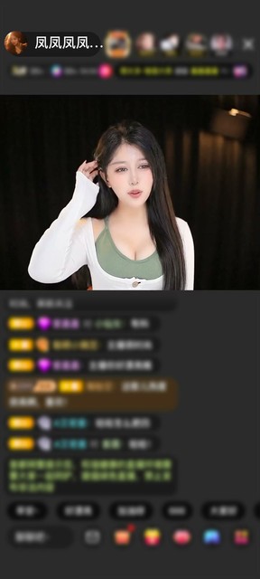 感谢清风一缕…赠送琼华情丝1个