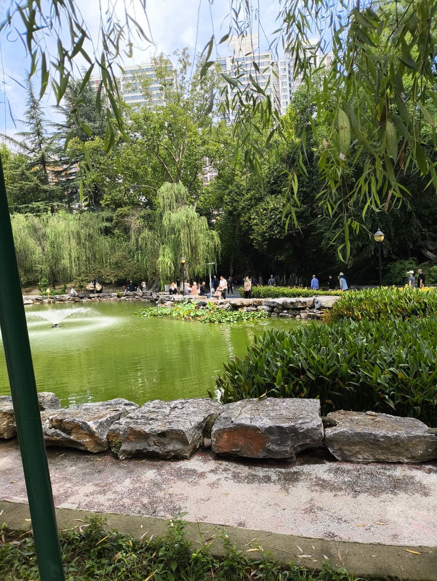 晴儿不连麦的图片