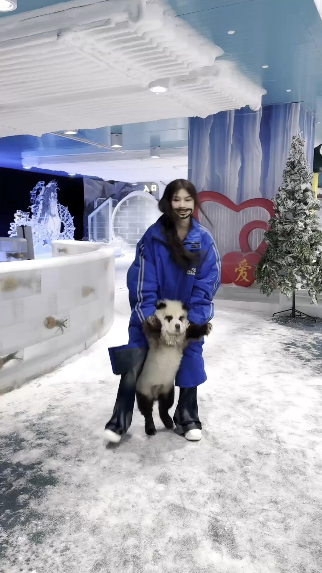 如果你愿意的话 我可