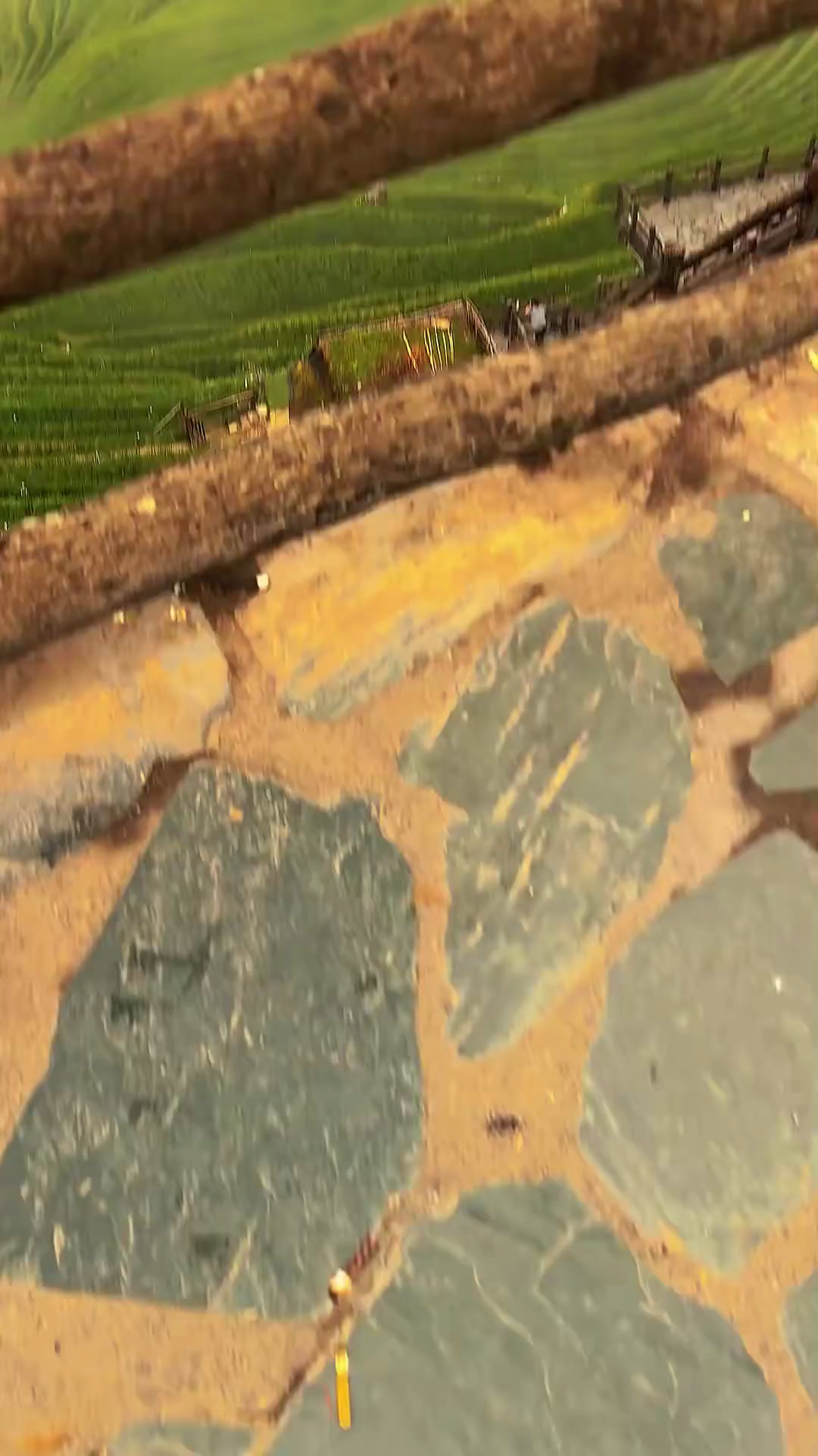 🍀🍀生活不是这样，就