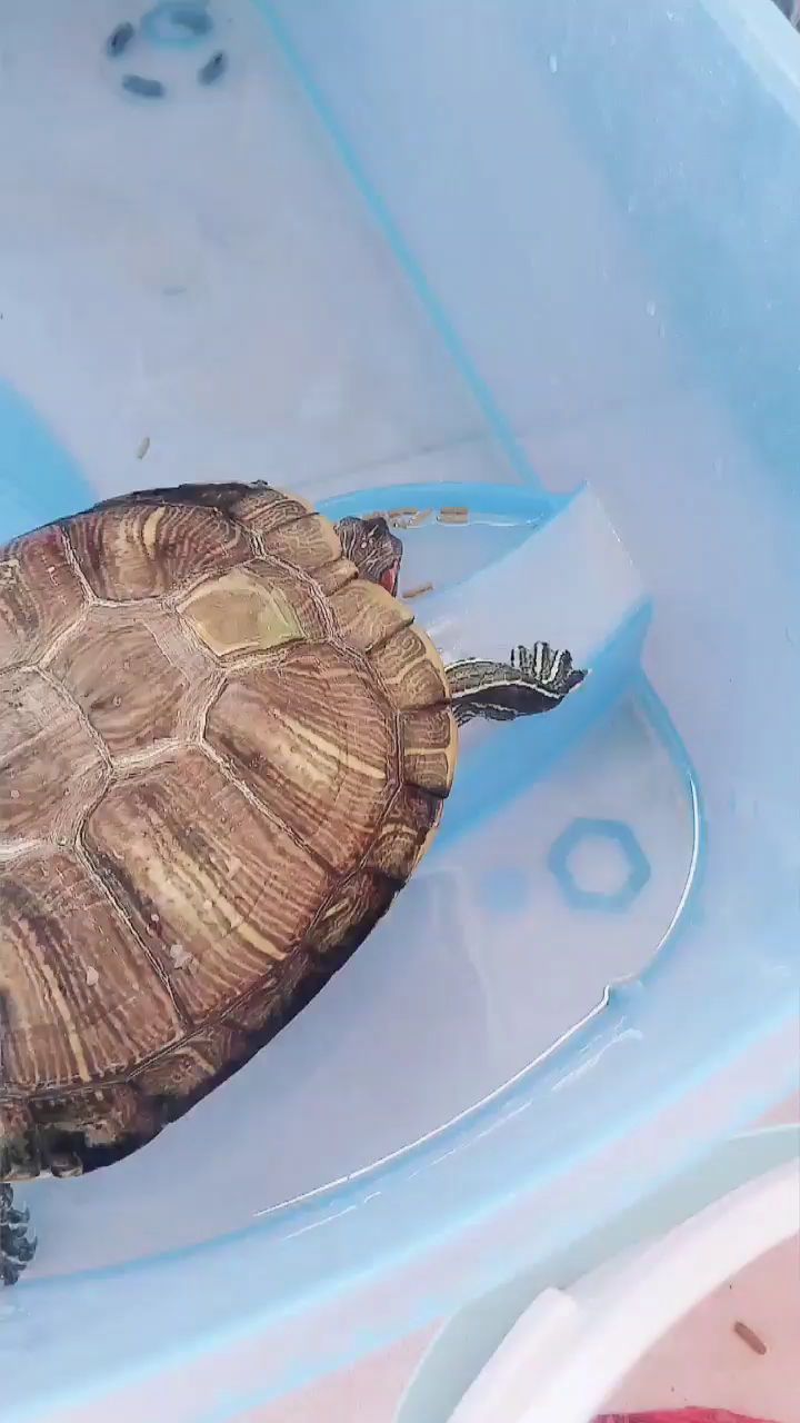 /惊讶第一时间的你