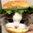 安HRb