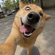 喳男谁也不爱🤪