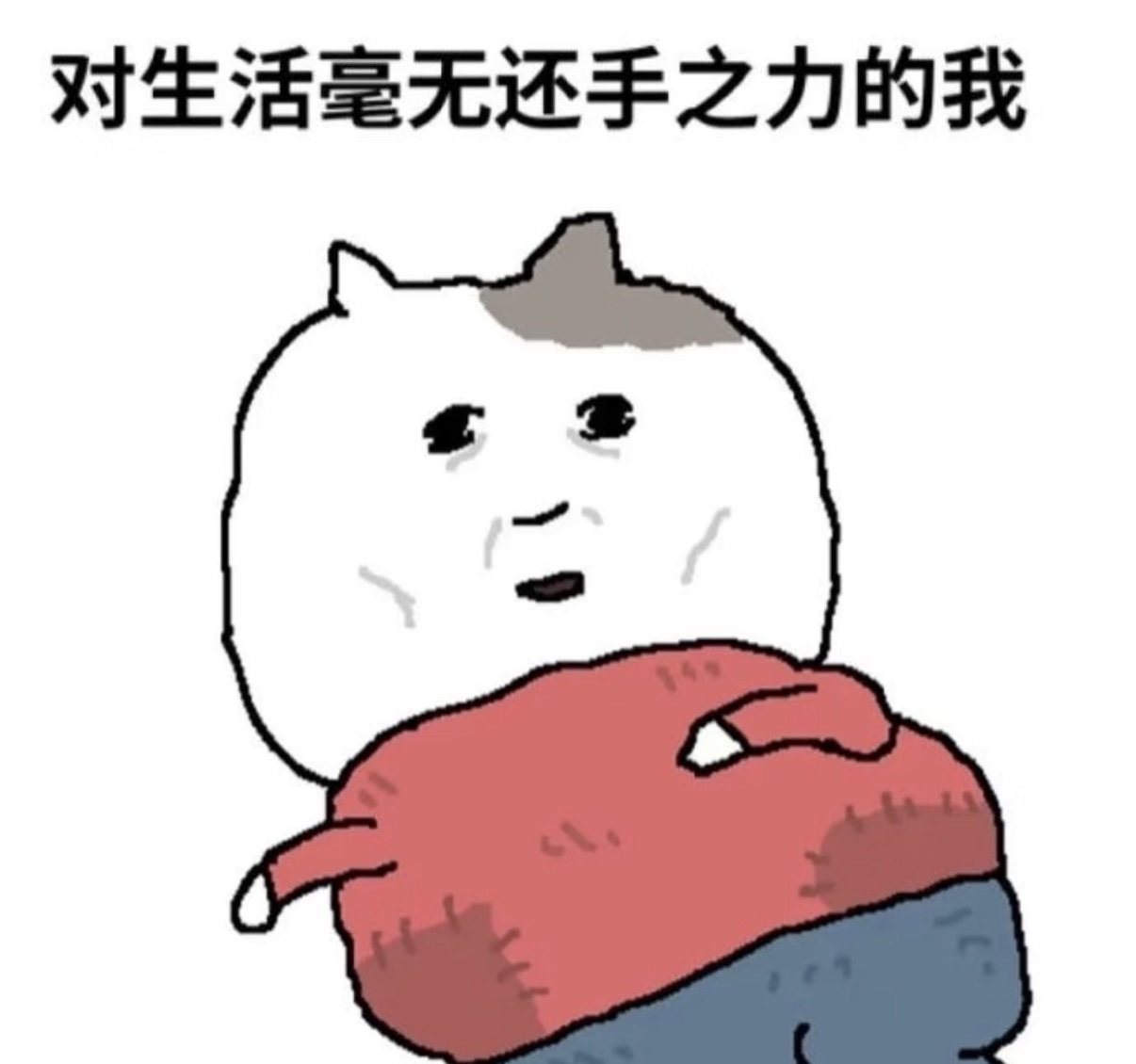 洁儿宝宝～的主播照片