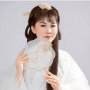 巧媳妇晚上播