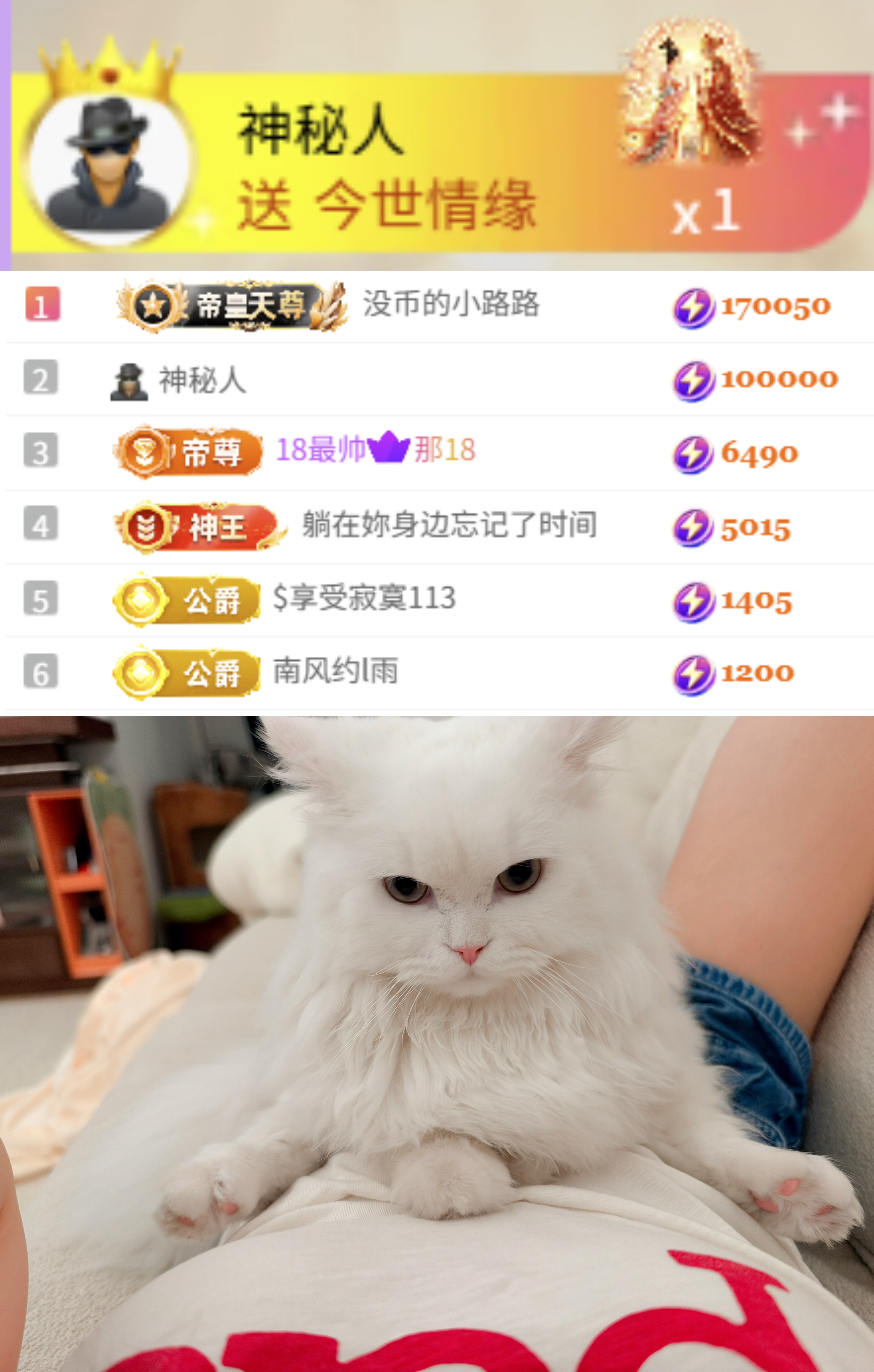 陈慧慧🌈早10晚8主播图片