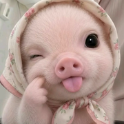 🍭🐖🦐🍭