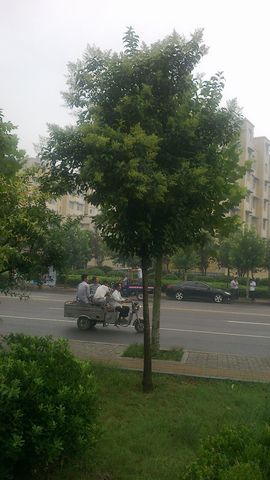 《牛哥》主播照片