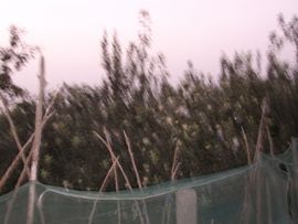 济世活人主播照片