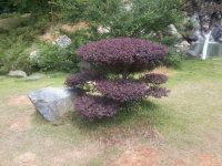 瑞木林莎主播照片