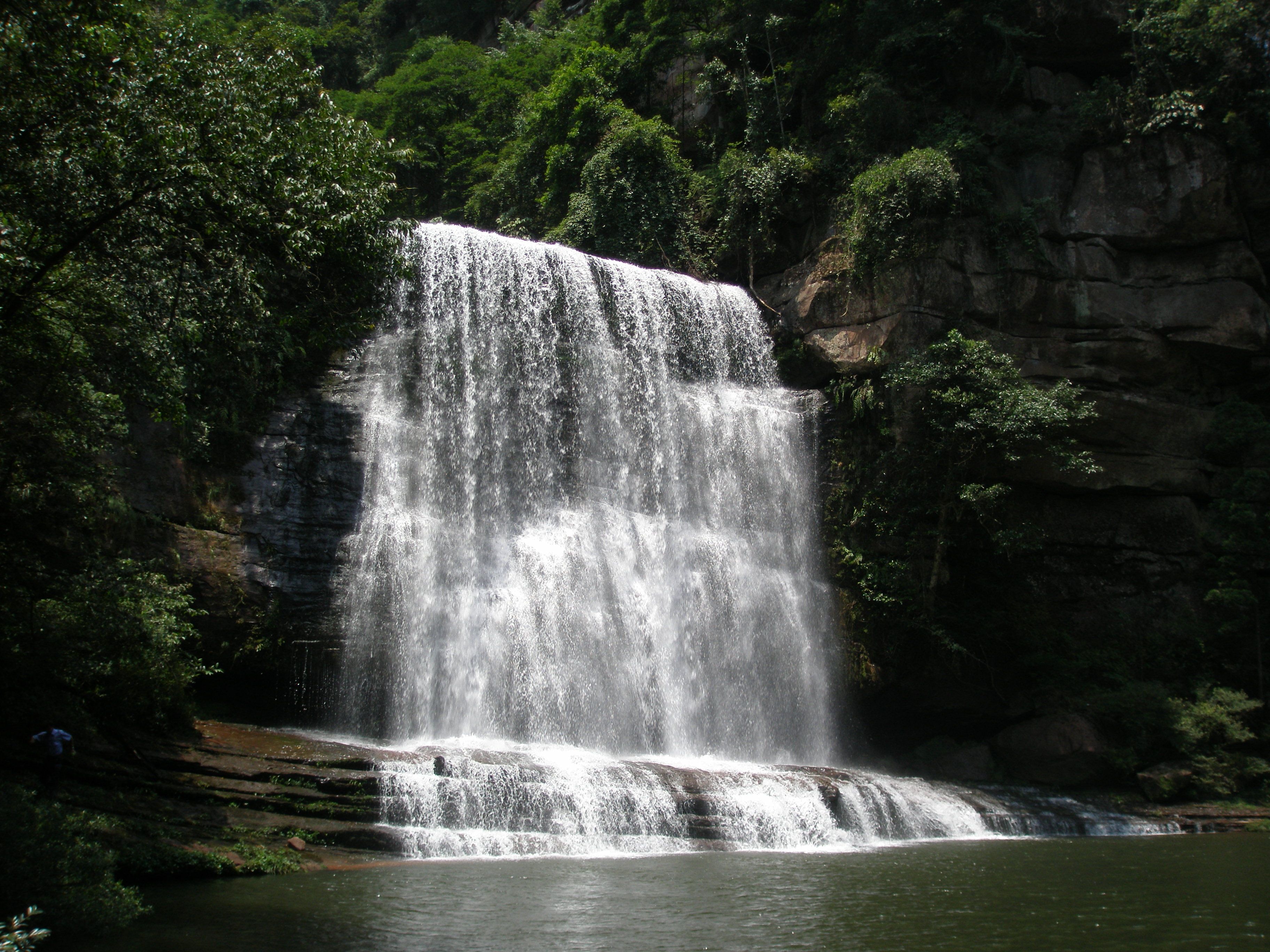 雄鹰国哥的主播照片