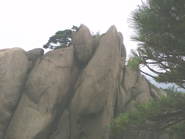 ˋ★│巫毒♂权哥°主播照片