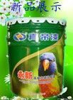 真帝漆主播照片