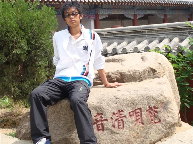 叶片，落的主播照片
