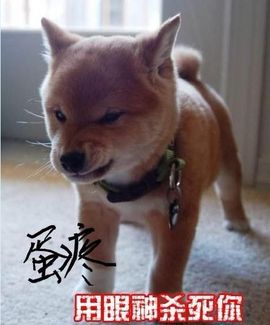 筝爱丿呢喃主播照片