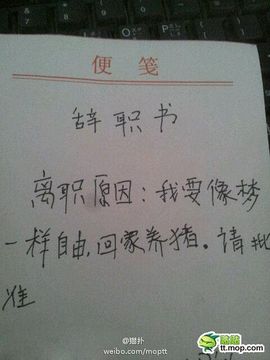 上官晓萌主播照片