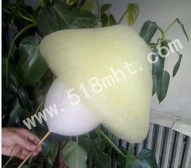 mht518主播照片