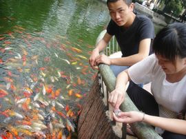 赵志楠。主播照片