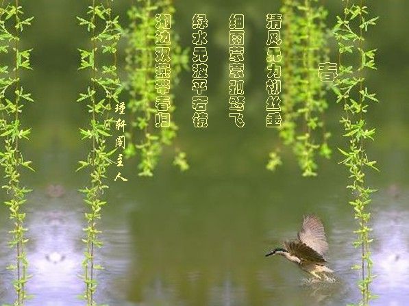 羅學(xué)許的主播照片