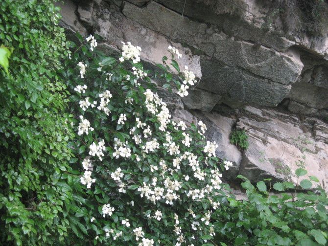 、我就是我的主播照片