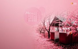 灵魂死期-1028主播照片