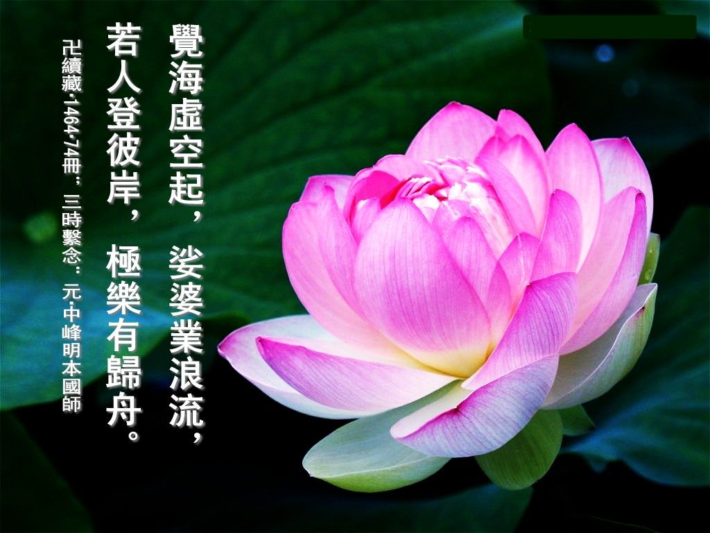 阿弥陀佛!的主播照片