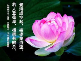 阿弥陀佛!主播照片