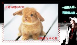 -罒3罒-軒軒主播照片