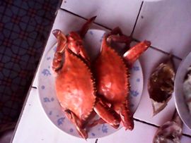 ™❥糖小糖-再见主播照片