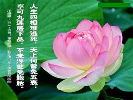 阿弥陀佛!主播照片