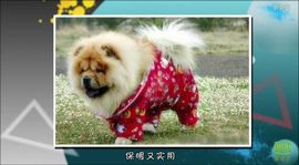 😸熱饅頭主播照片