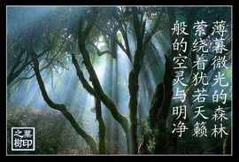 日暮寒风主播照片
