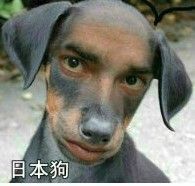 天昊暂休主播照片