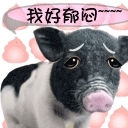 昵称违规，请重新修改